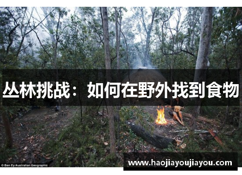 丛林挑战：如何在野外找到食物