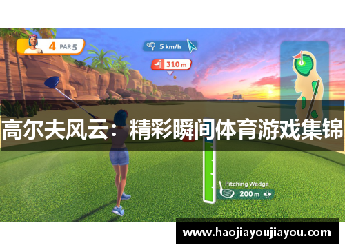 高尔夫风云：精彩瞬间体育游戏集锦