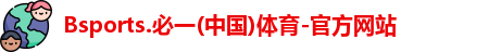 B体育官网